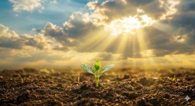 [온라인] 아트테라피 내 마음을 보는 4주간의 미술 여행 : 퓨어갤러리