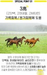 강아지간식 제주 말고기 큐브 60g : 강아지꼬야간식