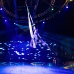 제주 아트서커스 +조안베어뮤지엄 +낙타트래킹 +족욕체험 / 제주 여행 공연 이색체험 관광지 : WEPICK