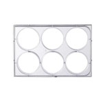 하이얼 생물 실험실 용품 가 6웰 조직 배양 플레이트 세포 배양 플레이트 뚜껑 포함 공장 : 골든103