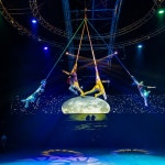 제주 아트서커스 +조안베어뮤지엄 +낙타트래킹 +족욕체험 / 제주 여행 공연 이색체험 관광지 : WEPICK