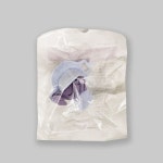 [더블에스메디칼] 마우스피스 (Mouthpiece) BY-P-D (50ea) : 한국메디텍