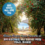 [전남] (산사바다) 강진+해남 미식여행 1박2일 / 1박4식(특식포함) (일반/리무진 선택) / 서울경기出 : 파랑새투어