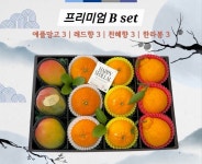 프리미엄 과일세트 B : 푸른숲 개포