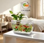 리얼 폴리카보네이트 안깨지는 어항 대형 물고기 수족관 구피 거북이 수조 : 압록상상스쿨