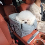 휴대용 자동차 강아지 켄넬 테디 비숑 소형견 외출 안전 장거리 동승자 애완동물 둥지 범용 차량매트 : 베터트레이드