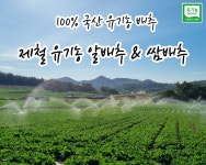 쌈배추&알배추 제철 유기농 생태마을 : 제철 유기농 생태마을