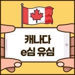 [캐나다이심] 워홀 이민 어학연수 유학 장기사용 로저스 파이도 개통 : 유심마을