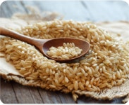 2025햅현미 맛난황금쌀눈현미5kg 삼광단일미 당일도정 부드러운 현미쌀 당료 건강식 잡곡밥 : 쌀미당