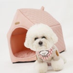 예쁜 강아지 집 크림 하우스 핑크 숨숨집 반려동물용품 나만의공간 2WD9F5D905 : 거성원더