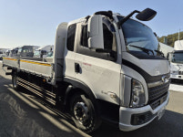 5톤 카고트럭 타타대우더쎈 제주화물운송 택배트럭 운송업보험 : 주식회사 디젤트럭