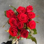 (테이블플라워) 클래식의 정석 빨강장미 생화택배 꽃 한단 농장직송 꽃배달 꽃도매 : 테이블플라워