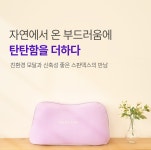 바디씨 에그젤 베개커버 TPE 전용 세탁가능 모달 부드러운 커버 : 바디씨