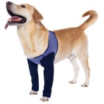 쿠데오 개 회복 소매, 콘 칼라 대안, 내마모성 수트, 세탁 가능한 두께 2.5mm 및 방수, 애완동물 상처로 핥기, 물림 방지(보라색, XL) S Black... 