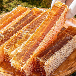 명품 김제 벌집 꿀 선물세트 1.8kg +보자기 벌꿀집 숙성꿀 진짜꿀 결혼 답례품 꿀 부모님 설선물 : 춘복상회 보따리장수