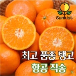 고당도 미국 만다린 정식출고 9kg, 1개 : 팜리