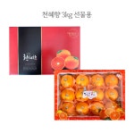 제주 천혜향 선물용 가정용 3kg 5kg 무료배송 : 샤론농원