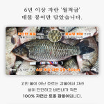 자연나라 자연산 붕어즙 붕어곰 100ml 엑기스 영양 보양식 부모님선물 : 자연나라다슬기