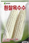 흰찰옥수수씨앗100립 : 하나농산농자재
