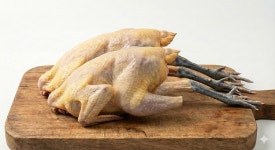 닭냄새 없는 진짜배기 순우리닭 청리 토종닭 당일도계 (백숙/옻닭용) 13호, 2개 : 과일채소 막퍼주는집