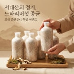 26년 서대산 배양 느타리버섯 종균 성형 1병 /미생물 종균 버섯종균 : 영양팡팡
