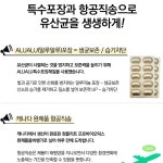 프리미엄 약국 대장 유산균 2개월분 신 프로 바이오틱스 비피더스균 60캡슐 : 타운리테일