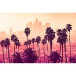 로스앤젤레스 캘리포니아 다운타운 빌딩 스카이라인 오렌지 레드 핑크 색상 열대 야자수 예술 사진 쿨 월 아트 프린트 포스터 36x24 : 보야지랩몰