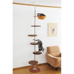 나 캣 폴 선반 5개 해먹 트리 실내 104 고양이용 가능(86 3인치) 1개 높이 6 조절 : 로투스루트4