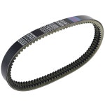 코울리 모터사이클 트랜스퍼 드라이브 벨트, 코드리스 EPCOUR028 B321AA1141 카살리니 아이디어, 피아지오 M500과 호환되는 설키 앤츠... 