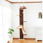 나 캣 워크 모든 선반 4개 107 고양이용 조절 1개 높이 6 가능(86 5인치) 트리 해먹 실내 : 로투스루트4