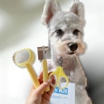 반려동물셀프그루밍키트 홈그루밍초보자용세트 반려동물 미용도구 3종세트 : 호사슈2