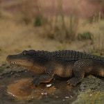 Safari (사파리) WW 엘리게이터 피겨 와일드 라이프 원더스 115 스케일 모델 113389 : UniversalVault