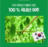 유기농 여주정 국내산 여주 농축분말96% 90정 : 도담몰.