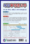 고추씨앗 200립 복한 신 청춘 탄저 칼라 역병에 강한 복합내병계 매운맛 고추 종자 : 씨앗팜