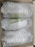 샤인머스켓 씨없는 포도 망고포도 과일 고당도샤인머스켓 산지직송 1.6kg : 슬로우샘