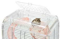 [재고 한  메이커 종매] 젝스 햄 큐트 팰리스 사쿠라 핑크 드워프 햄스터, 장갈리안 M 사이즈 (1 개) : zumistyle