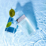 여성 돌체앤가바나 향수 라이트블루 EDT 오드뚜왈렛, 50ml, 1개 : PerfumeFit