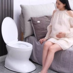 휴대용 변기의자 침대옆 이동식 화장실의자 성인용 간이변기 홈케어 보조의자 무취통 Standard grey A : 동백셀렉트