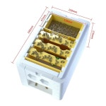 베네핏비 스마트 미니 퀸 교 누크 박스 120g m 폼 벌집 키트 3 플라스틱 프레임 및 피더 필수 양봉 용품 : 금빛더피3