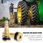 뉴네사이 10개 TR618A 트랙터 타이어 밸브 스템, 고속 유동 코어가 있는 튜브리스 공기 액체 스템으로 농장 및 로드 그레이더 타이어에... 