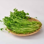 향긋한 청도미나리 암반수 재배 세척 제철 당일수확 600g, 1개 : 렛츠팜