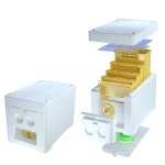 베네핏비 스마트 미니 퀸 교 누크 박스 120g m 폼 벌집 키트 3 플라스틱 프레임 및 피더 필수 양봉 용품 : 금빛더피3