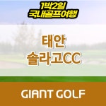 솔라고cc 1박2일 리조트 1박2일 패키지 : 자이언트골프 국내해외 예약