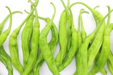 청양고추 매운 여리 아삭이 오이고추 당조 꽈리고추 땡초 풋고추 홍고추 고춧잎 할라피뇨 : 맛있는 신선 농장