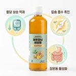 제주 김녕 생강청 500g, 3개 : 제주 엉클