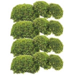 12Pcs 야외 인공 바위 돌 금형 녹색 사무실 이끼 장식 정원 : 르 봉 슈와