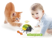 반디 크레이지무당벌레 레이디버그 감지센서 : 주식회사 반디