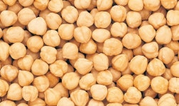 건강한 수입 병아리콩 2kg : 에이치엔비유통