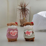 사랑가득 하트데이 우소우소짱 수달 봉제인형 27cm 2종 : 돈앤돌스