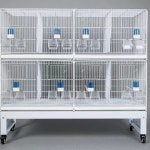 핫 번식 케이지 새장 신제품 카나리아 금색 파랑 제비 애완 : 동백산업